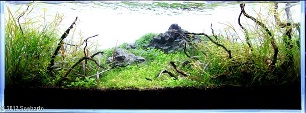 Soeharto (Indonezja)